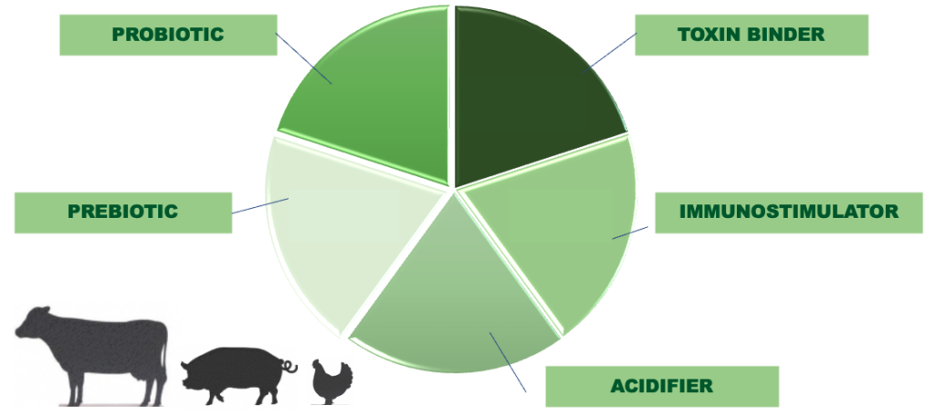 Grafik zu notwendigen Komponenten einer ausgewogenen Fütterung